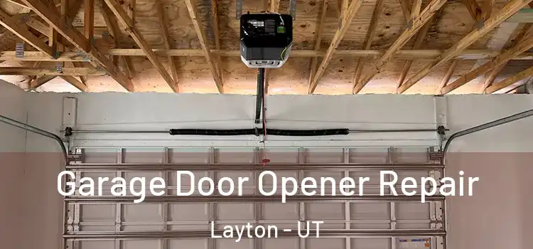 Garage Door Opener Repair Layton - UT
