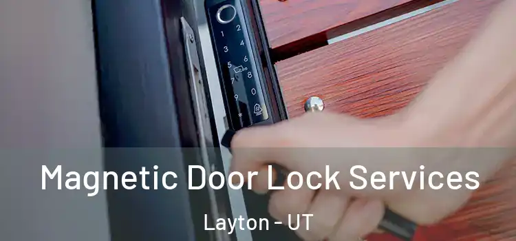 Magnetic Door Lock Services Layton - UT